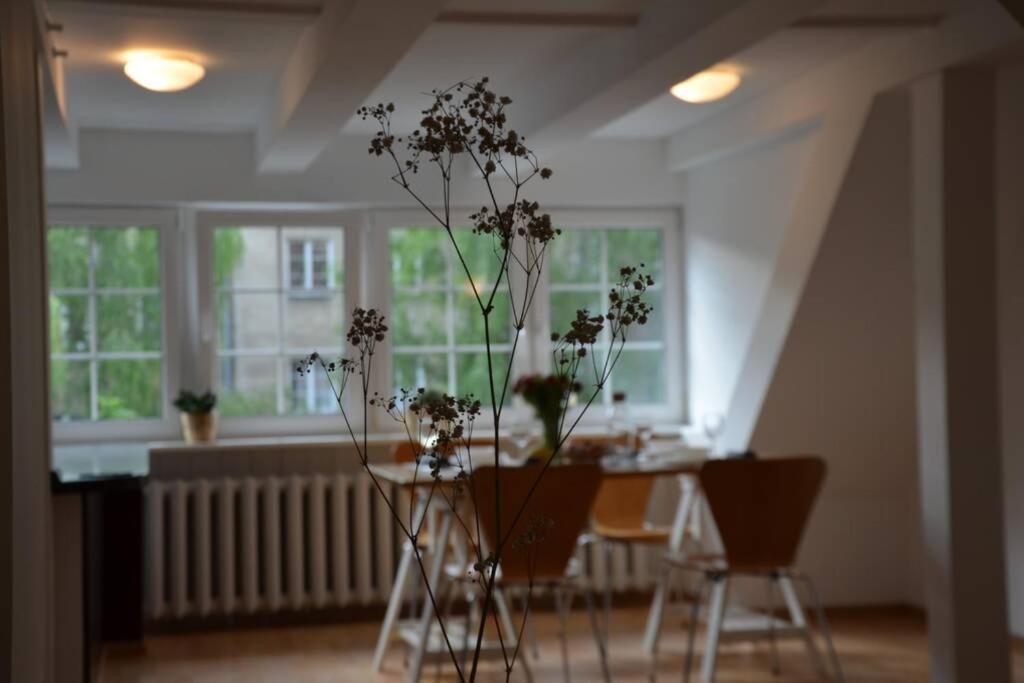 Ines Apartament Two Levels 105M2 In The Old Town Wi-Fi, ออลชติน ภายนอก รูปภาพ